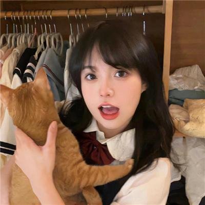 齐姆与友
