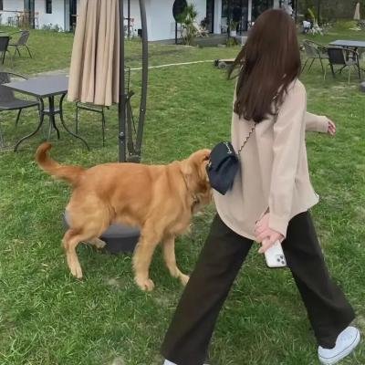 我的西游